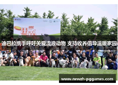 迪巴拉携手呼吁关爱流浪动物 支持收养倡导温暖家园